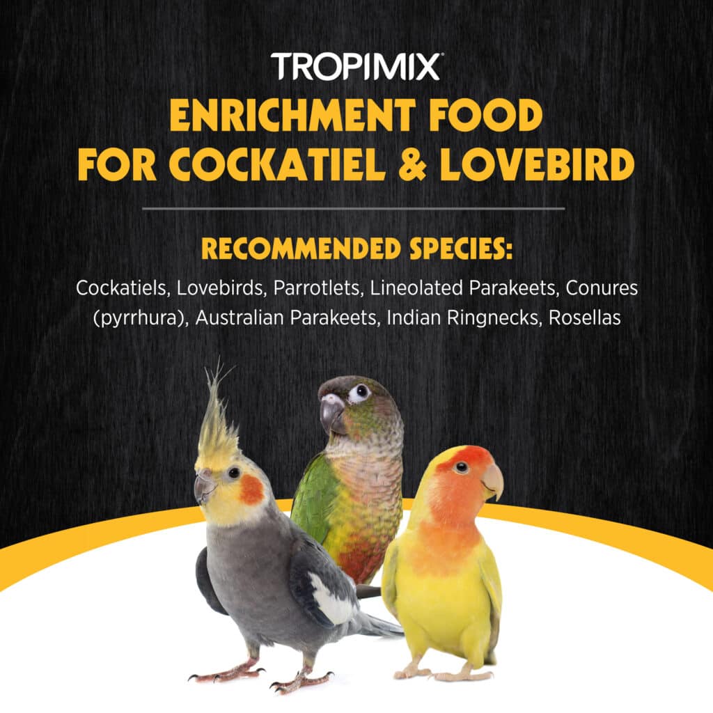 Hagen Tropimix 玄鳳和牡丹鸚鵡混合配方