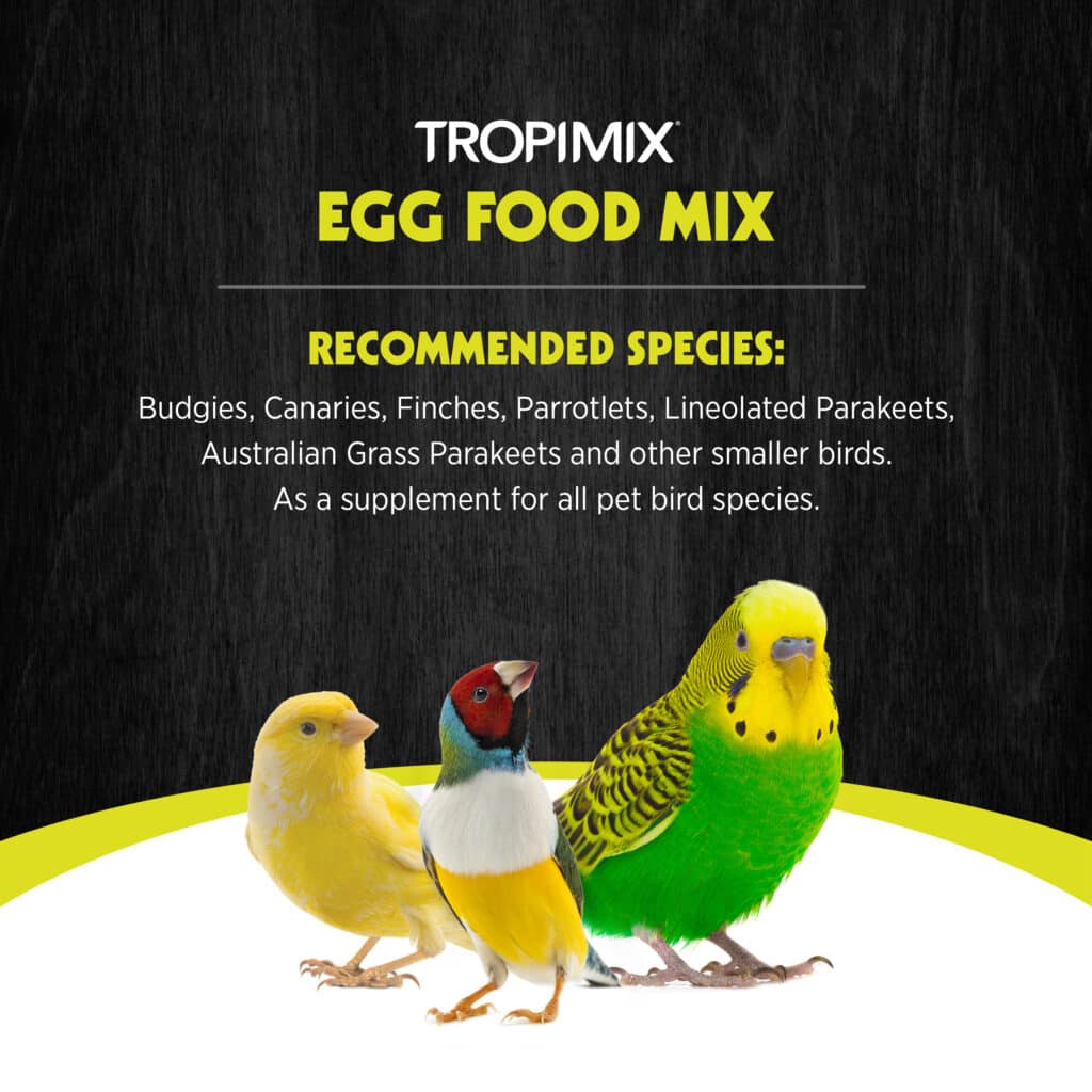 Hagen Tropimix 虎皮和雀類混合蛋糧