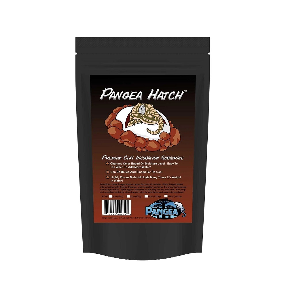 PANGEA 盤古 孵化石 Hatch ém