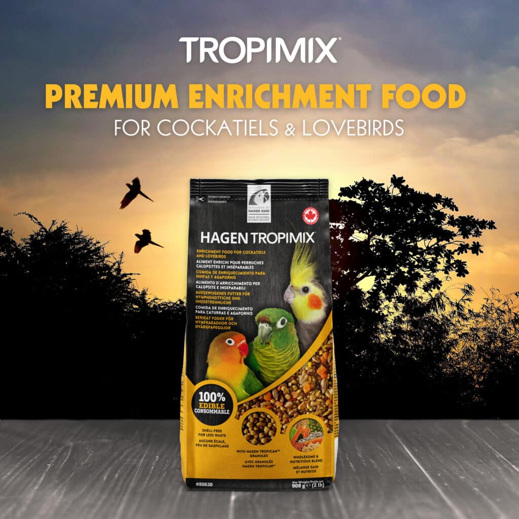 Hagen Tropimix 玄鳳和牡丹鸚鵡混合配方