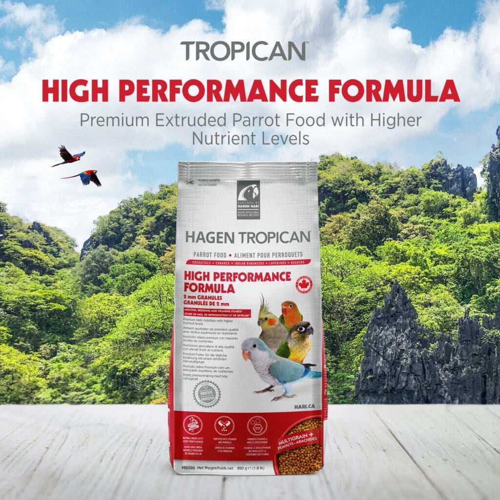 Hagen Tropican 高能滋養鸚鵡配方 2mm