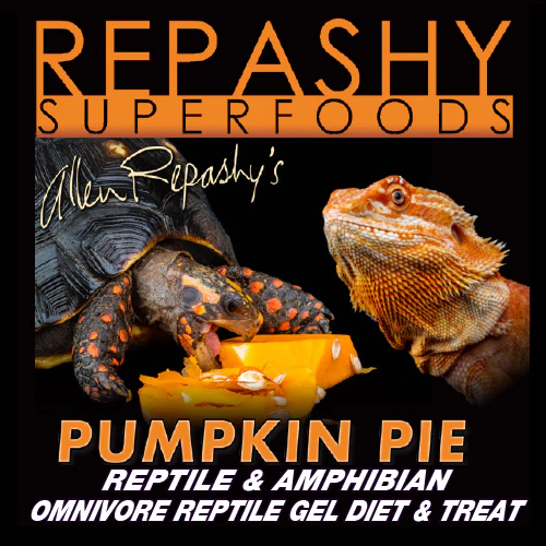 [RP] Repashy Pumpkin Pie 6oz