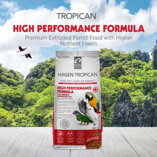 Hagen Tropican 高能滋養鸚鵡配方 4mm
