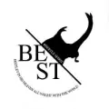 Beetle Spirit